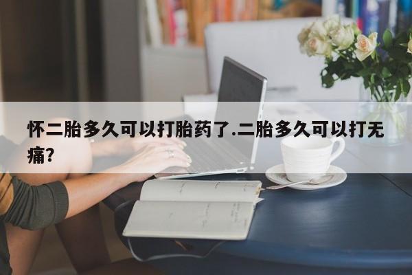 药流药使用怀二胎多久可以打胎药了.二胎多久可以打无痛？