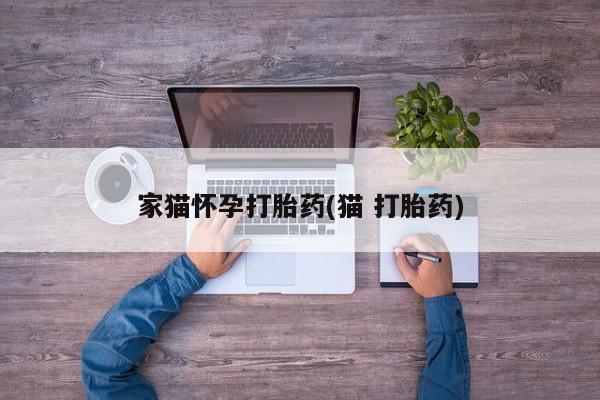 药流药使用家猫怀孕打胎药(猫 打胎药)