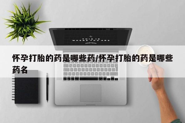 药流药使用怀孕打胎的药是哪些药/怀孕打胎的药是哪些药名